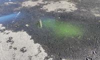 Grønt fjernvarmevand på asfalt